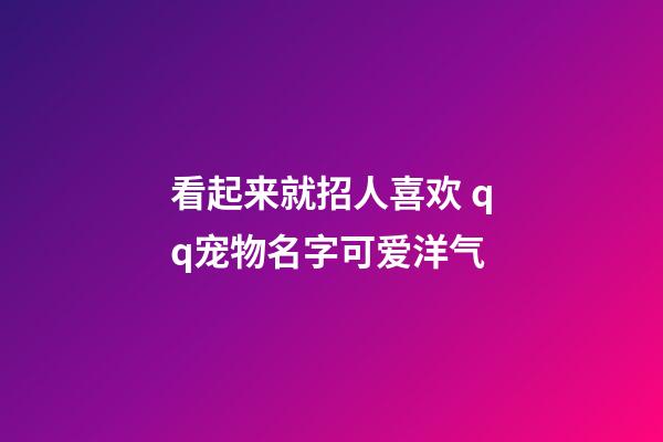看起来就招人喜欢 qq宠物名字可爱洋气